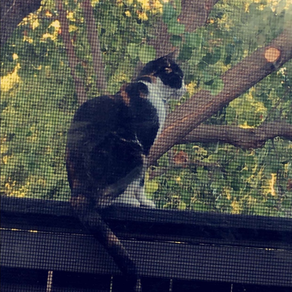 Meet your Posher, Breanna